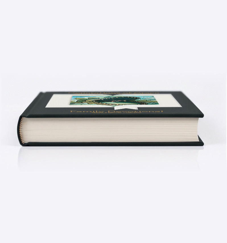 Family Devotional - Year 2 - 3rd Edition (Annual License)
