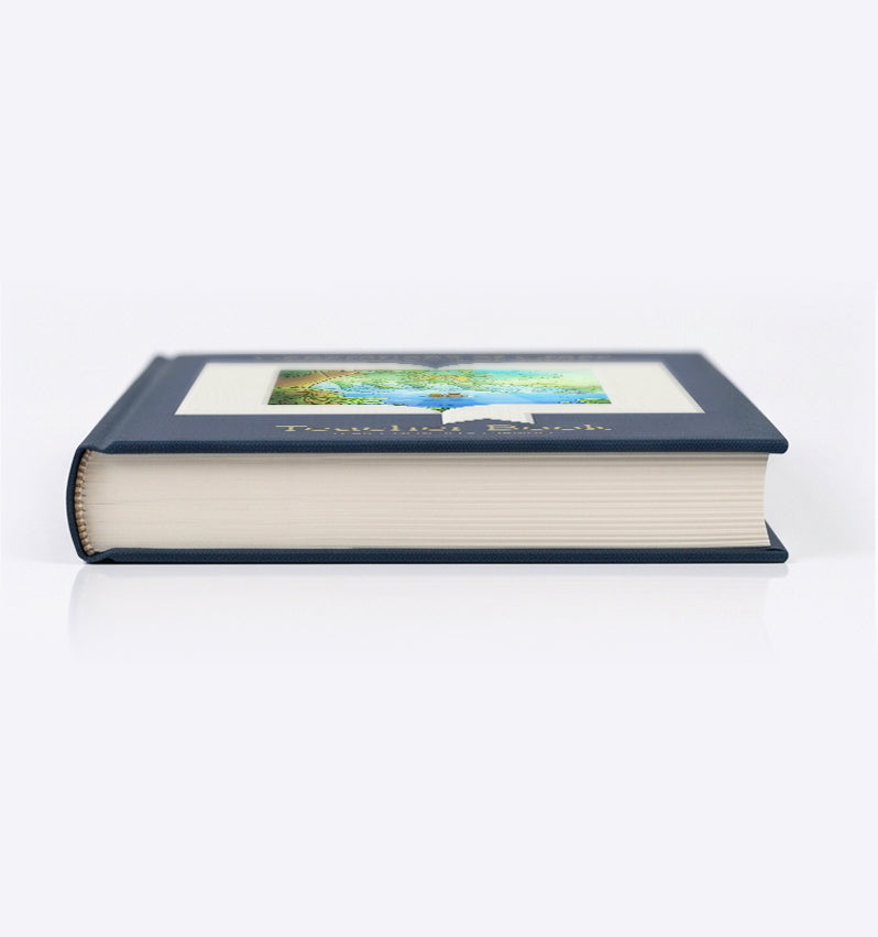 Teacher Book - Year 1 - 3rd Edition (Annual License)